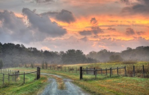 http://www.stockvault.net/photo/138261/country-road-and-sunrise